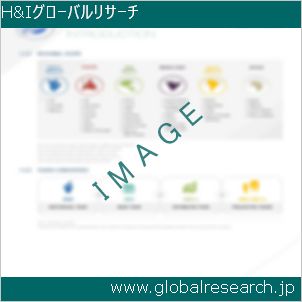 グローバルリサーチ調査レポートのイメージ